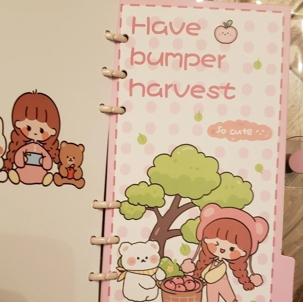 ADORABLE girly girl planners/agenda/journal